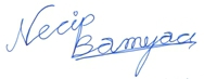 Necip Bamyacı's personal website